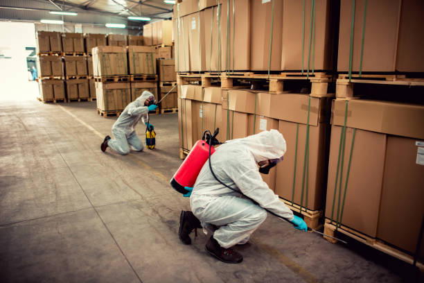 Professional Pest Control in Lutcher, LA