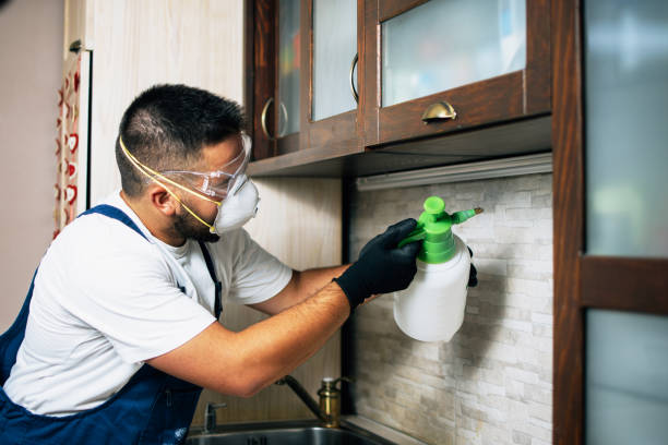 Trusted Lutcher, LA Pest Control Experts