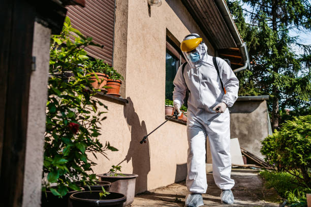 Best Residential Pest Control  in Lutcher, LA