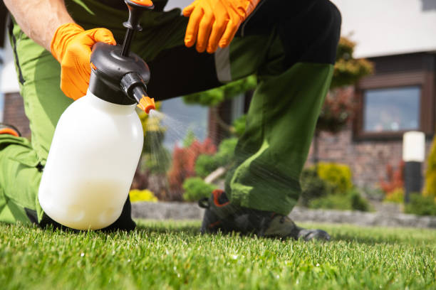 Best Commercial Pest Control Services  in Lutcher, LA