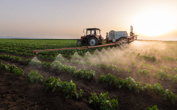 Best Ant Control Services  in Lutcher, LA