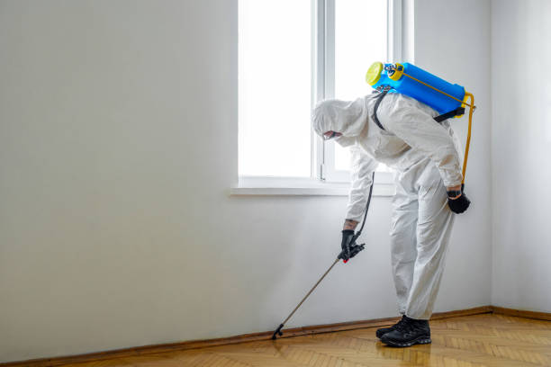 Best Flea Control Services  in Lutcher, LA
