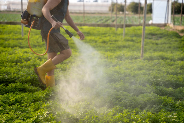 Best Best Pest Control Companies  in Lutcher, LA