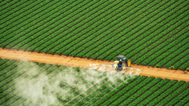 Best Pest Prevention Services  in Lutcher, LA