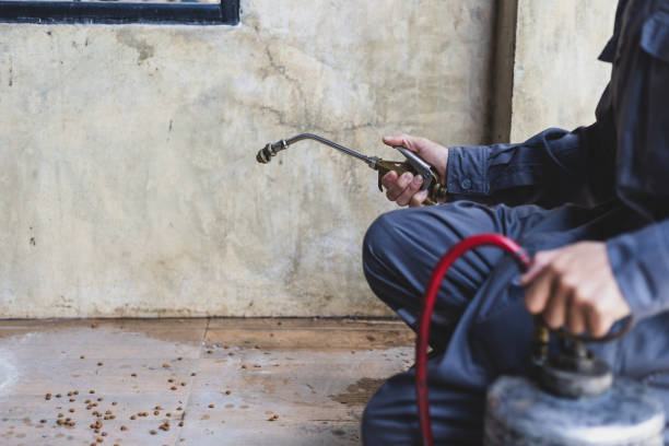 Best Pest Control Near Me  in Lutcher, LA